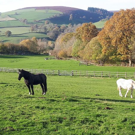 Vila Buzzards Breg Builth Wells Exteriér fotografie