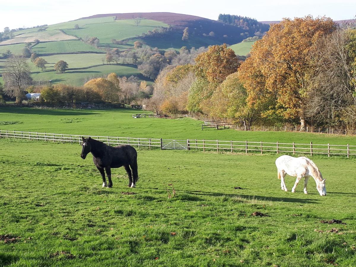 Vila Buzzards Breg Builth Wells Exteriér fotografie